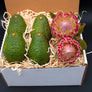 PROTEA AVOCADO - 2 Protea Stems and 4 Avocados