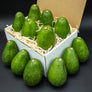 12 Large Fuerte Avocados - Farmers Dozen