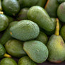 24 Large Hass Avocados - Fresh from the farm