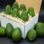 12 Large Hass Avocados - Farmers Dozen