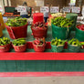 FRESH GREEN CHILE 2026 HARVEST PRE-ORDERS START JUNE 1ST = SAVE 10% OFF = HARVEST BEGINS AUGUST 2026