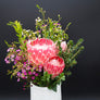 Long Stem Empress Protea (4 Flowers)