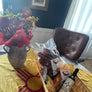 Gift Basket