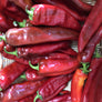 Red Chile Powder 12 OZ.