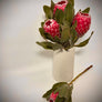 Long Stem Empress Protea (4 Flowers)