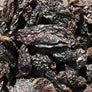 Chipotle' Morita Smoked Jalapenos Pods 6 OZ