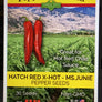 New Mexico Chile Seeds NON GMO