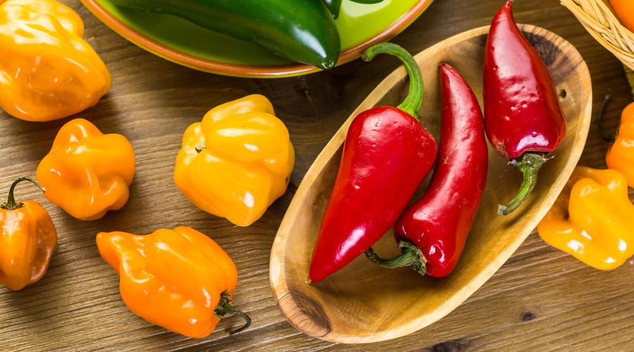 Dried Vs. Fresh Peppers: Which Is Spicier?