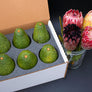 Protea Flowers, 4 Stems and 6 Avocados