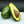 12 Large Fuerte Avocados - Farmers Dozen