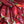 Red Chile Powder 12 OZ.