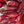 Red Chile Powder 12 OZ.