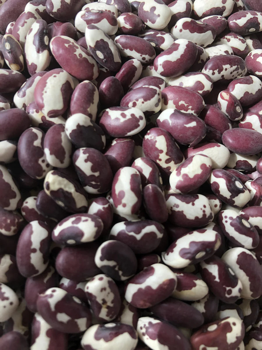 Adobe Milling Company ANASAZI beans   2 lbs.