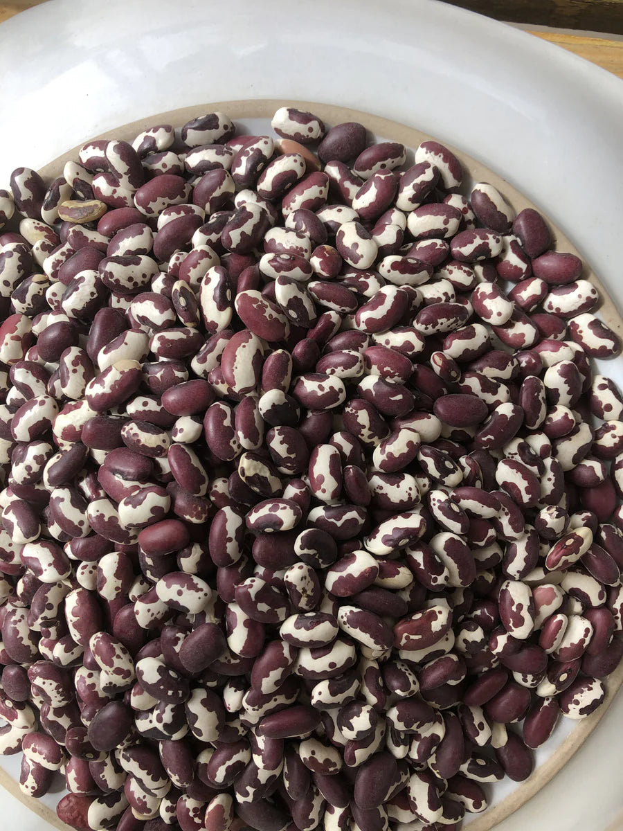 Adobe Milling Company ANASAZI beans   2 lbs.