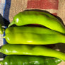 FRESH GREEN CHILE 2026 HARVEST PRE-ORDERS START JUNE 1ST = SAVE 10% OFF = HARVEST BEGINS AUGUST 2026