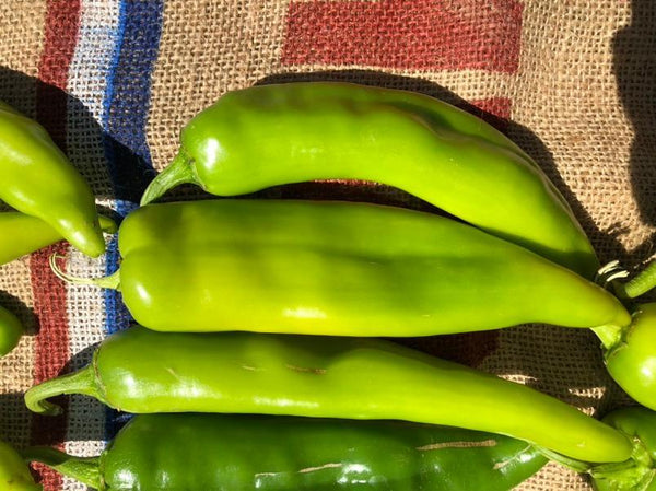 FRESH GREEN CHILE 2026 HARVEST PRE-ORDERS START JUNE 1ST = SAVE 10% OFF