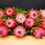 Protea Flowers, 12 Assorted Protea Stems
