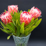 Protea Flowers, 4 Stems and 6 Avocados