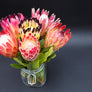 Protea Flowers, 6 Assorted Protea Stems