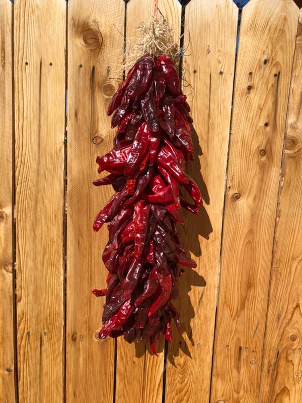 24 Inch Ristras Late Season