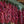 Ristras 24 inches: PRE-ORDER NOW!