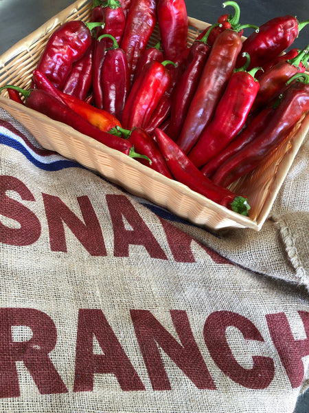 FRESH RED CHILE HARVEST OVER SEE YA IN 2026